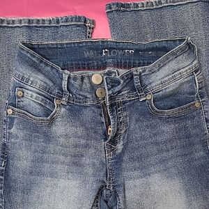 Women's Wallflower Luscious Curvy Boot Cut Jeans